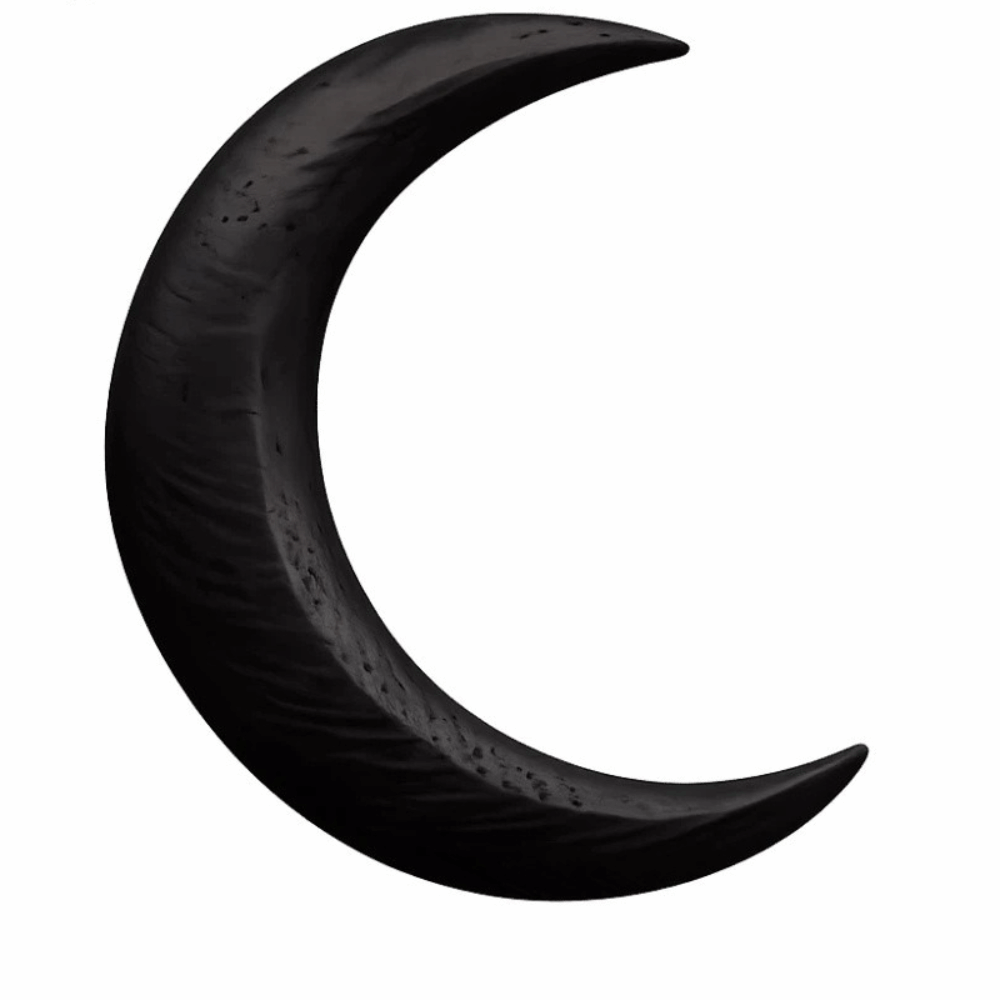 Elegant Crescent Hair Fork Han – Half Moon Crescent recenzja i cena